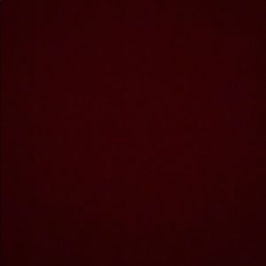 Meet your Posher, Riley